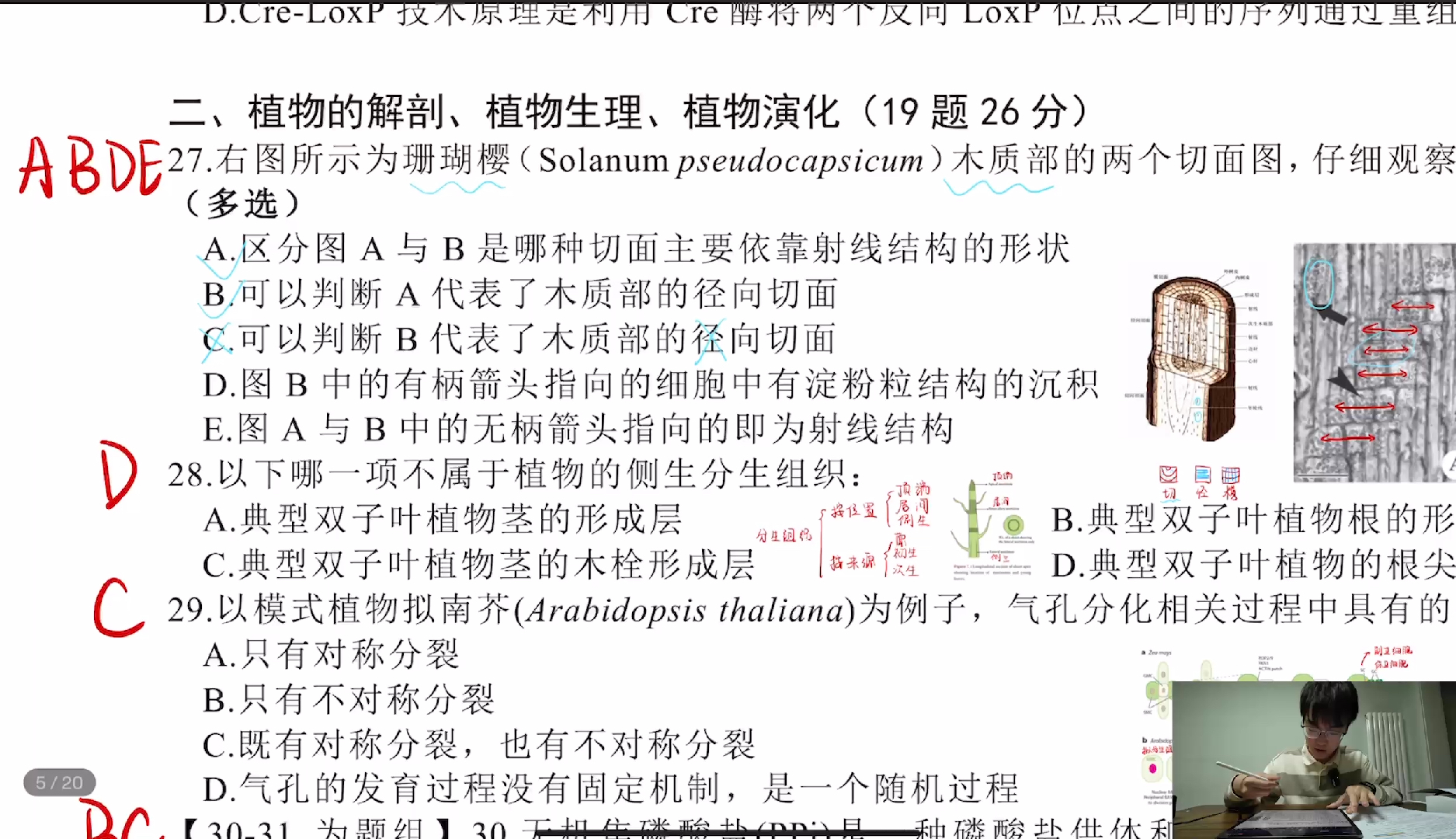 YCBOⅡ第二板块和生理学讲解