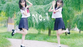 歌曲草原情简谱_草原歌曲简谱图片(4)