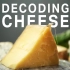 你的奶酪是如何制作的微生物真相