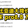 比亚迪 12 月大降价，宋 pro8.8 万