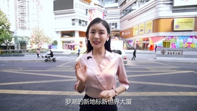 罗湖区2020GDP_深圳罗湖区(2)