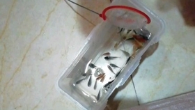 丝是怎么做成的 8999d998dfd7c285b40493b8a64bbafa501d49c1.jpg@280w_158h_1c_100q.jpg