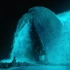 《少年派的奇幻漂流》水母之夜，鲸鱼出水，展示海洋的神秘和壮丽