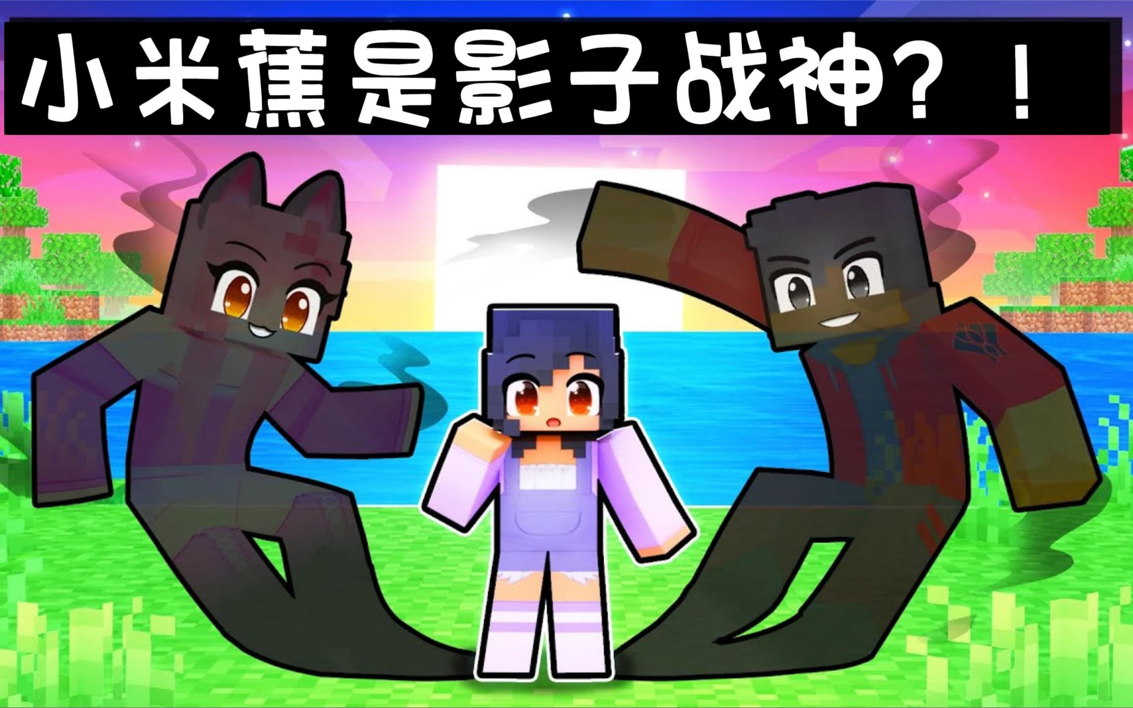 【我的世界动画】"奋斗" - Minecraft Dream SMP 动画_哔哩哔哩_bilibili