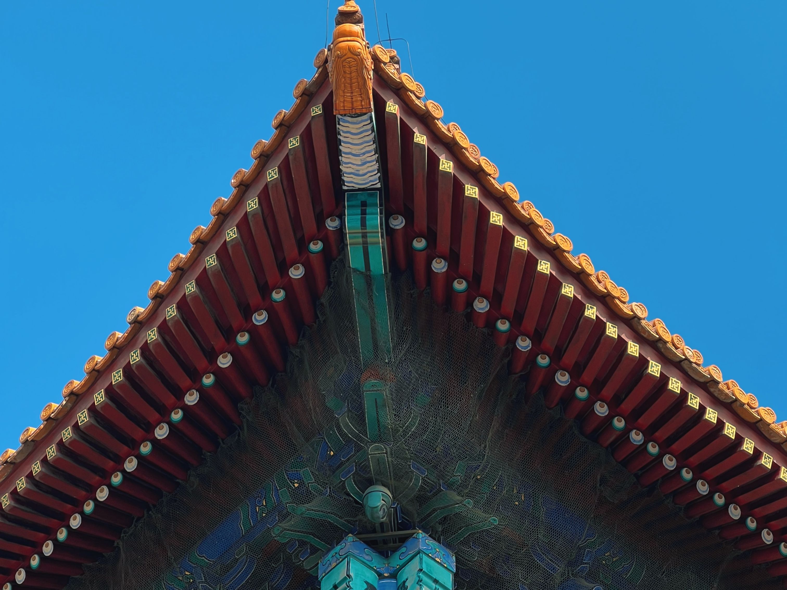 moza:艺术美学鼻子：拥有您一直想要的鼻子！（理想鼻子）