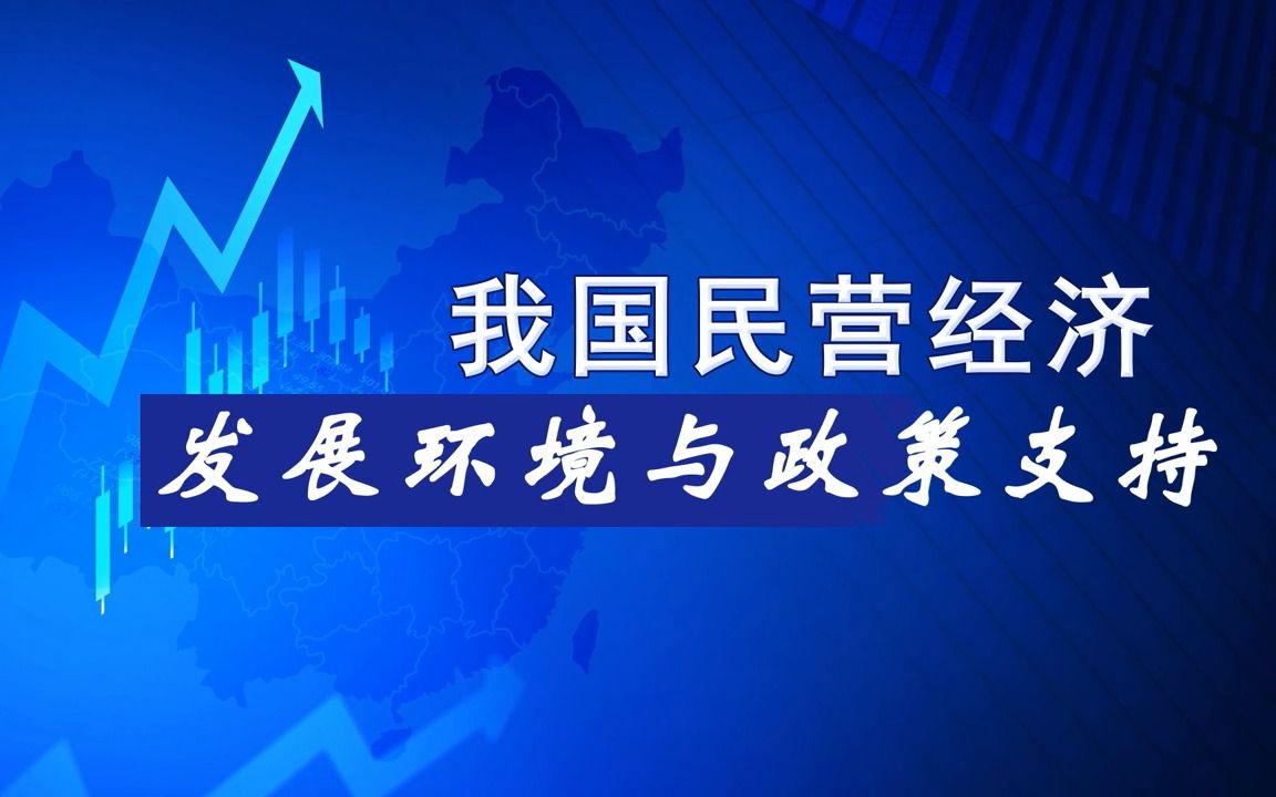 我国民营经济发展环境与政策支持