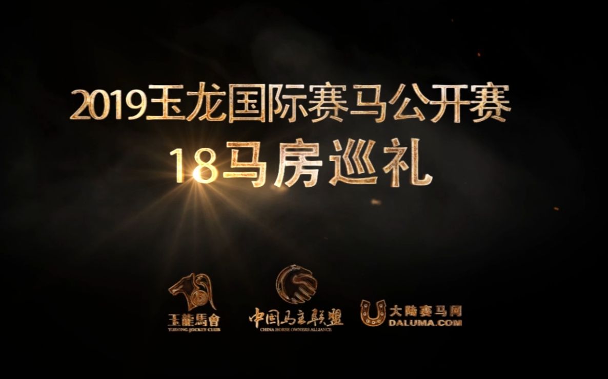 2019玉龙国际赛马公开赛 18马房巡礼