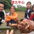 越南美食团队跟小银美女在农田里烤大牛心，看都流口水了