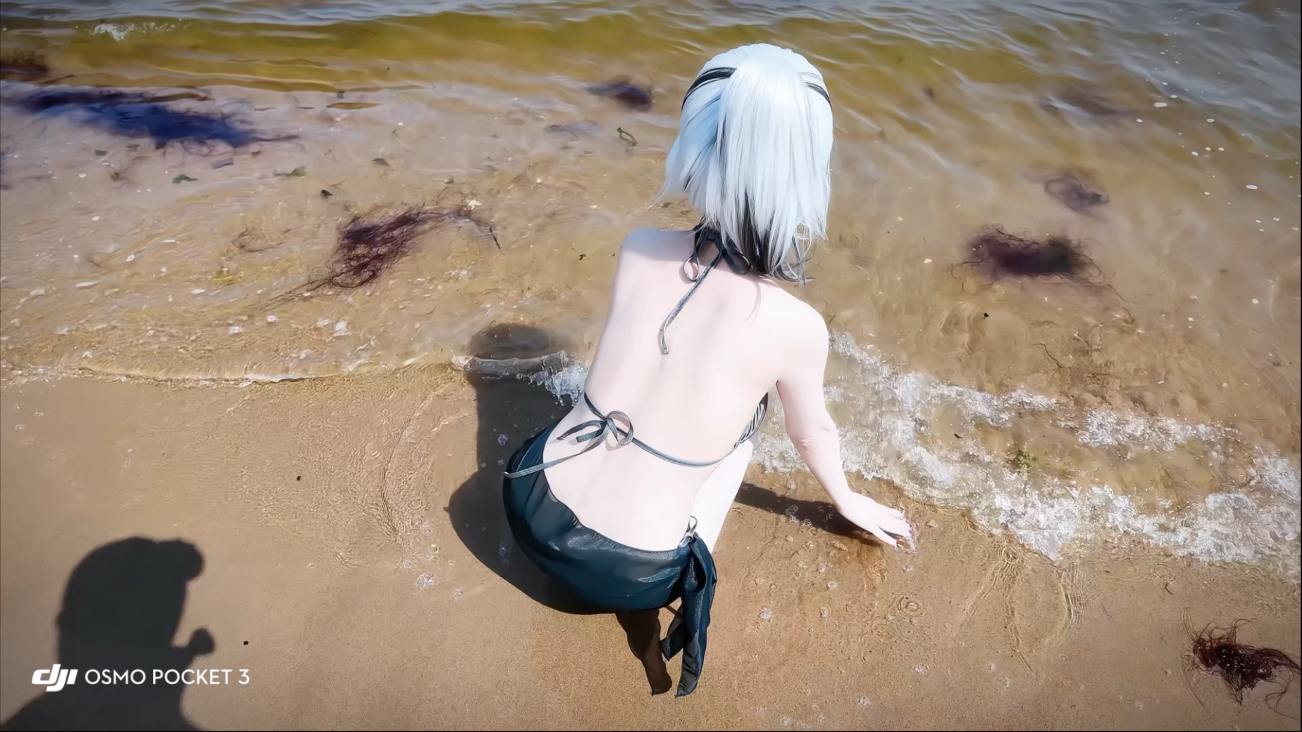 Caught a wheat mouse on the beach.