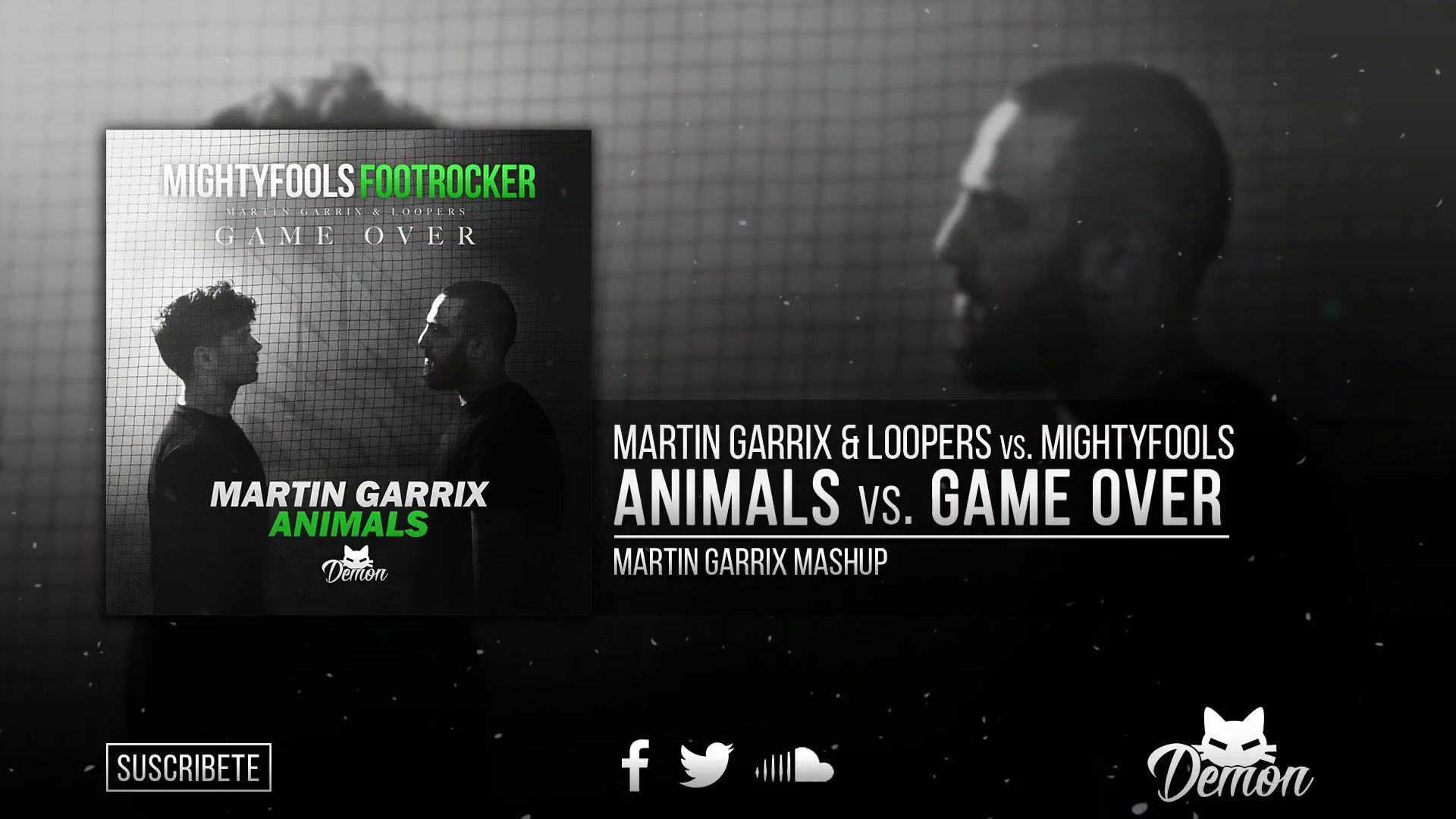 Animals vs. Game Over - Martin Garrix & Loopers (Martin Garrix Mashup)-哔哩哔哩