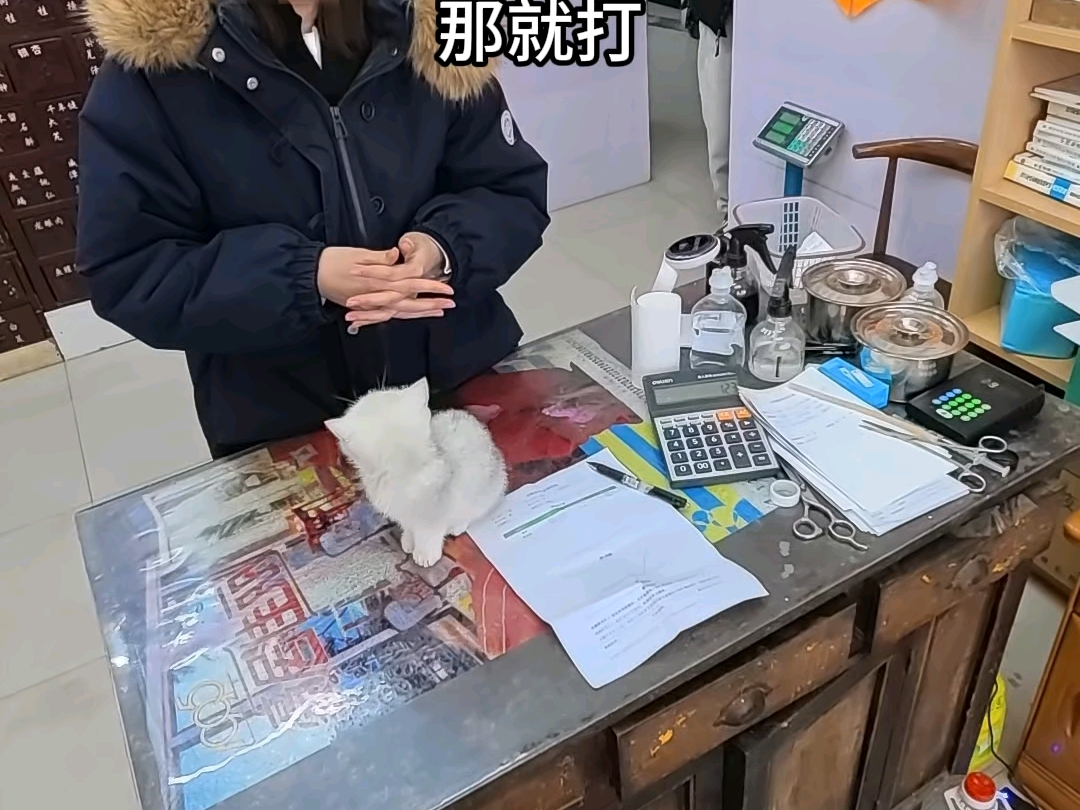 乡村兽医修猫修狗的一天