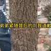 iaa1-我和你弟弟的孩子，也流着你的血