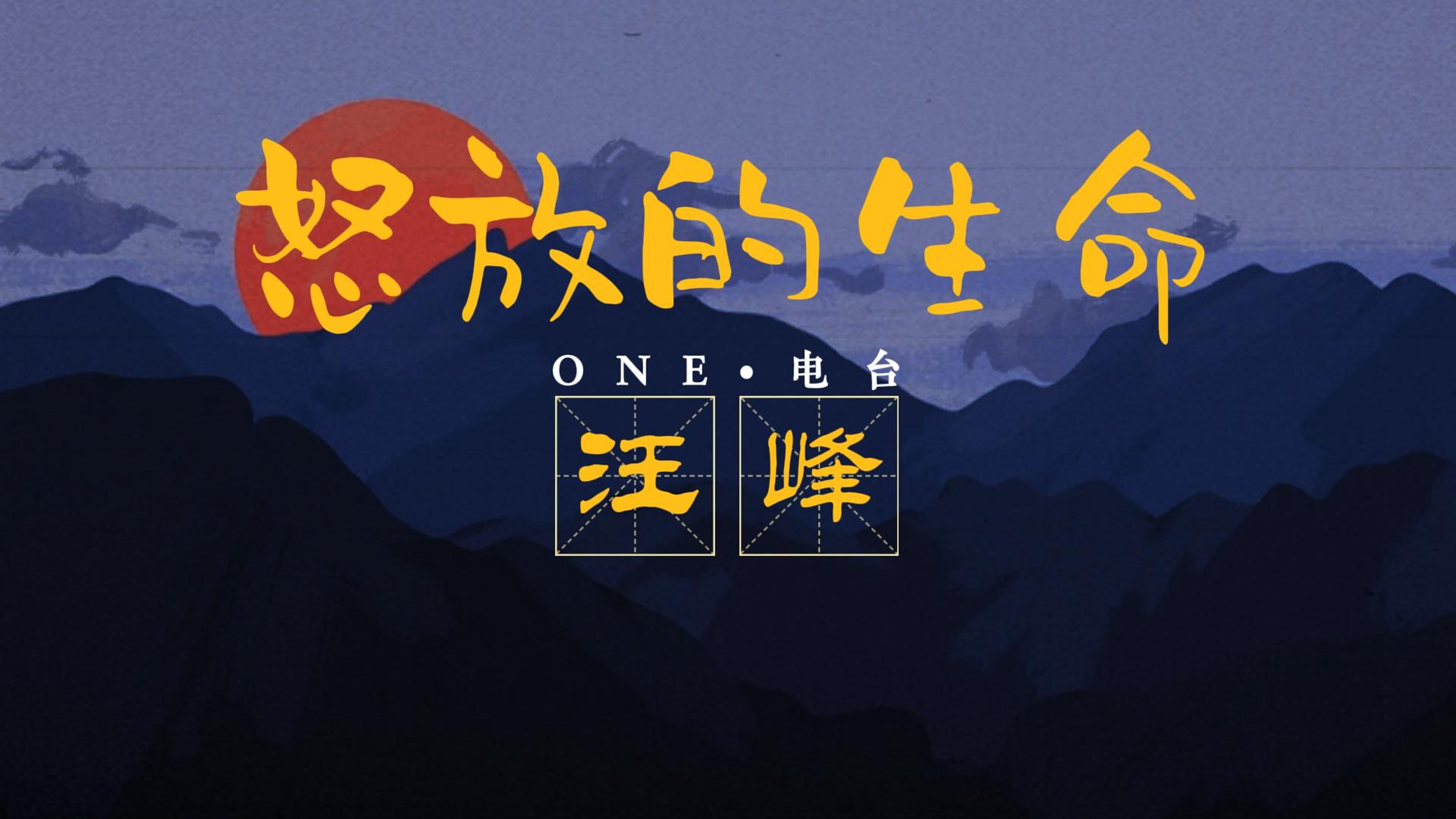 【Hi-Res无损音质】汪峰《怒放的生命》无损音质经典歌曲完整版