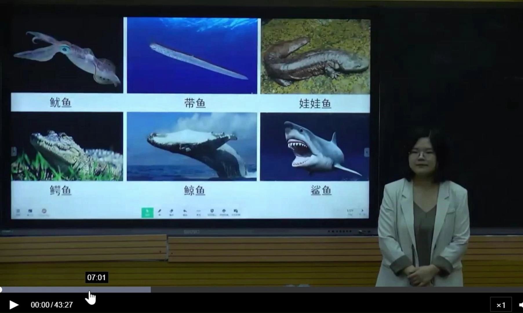 省级比赛一等奖——初中生物——鱼