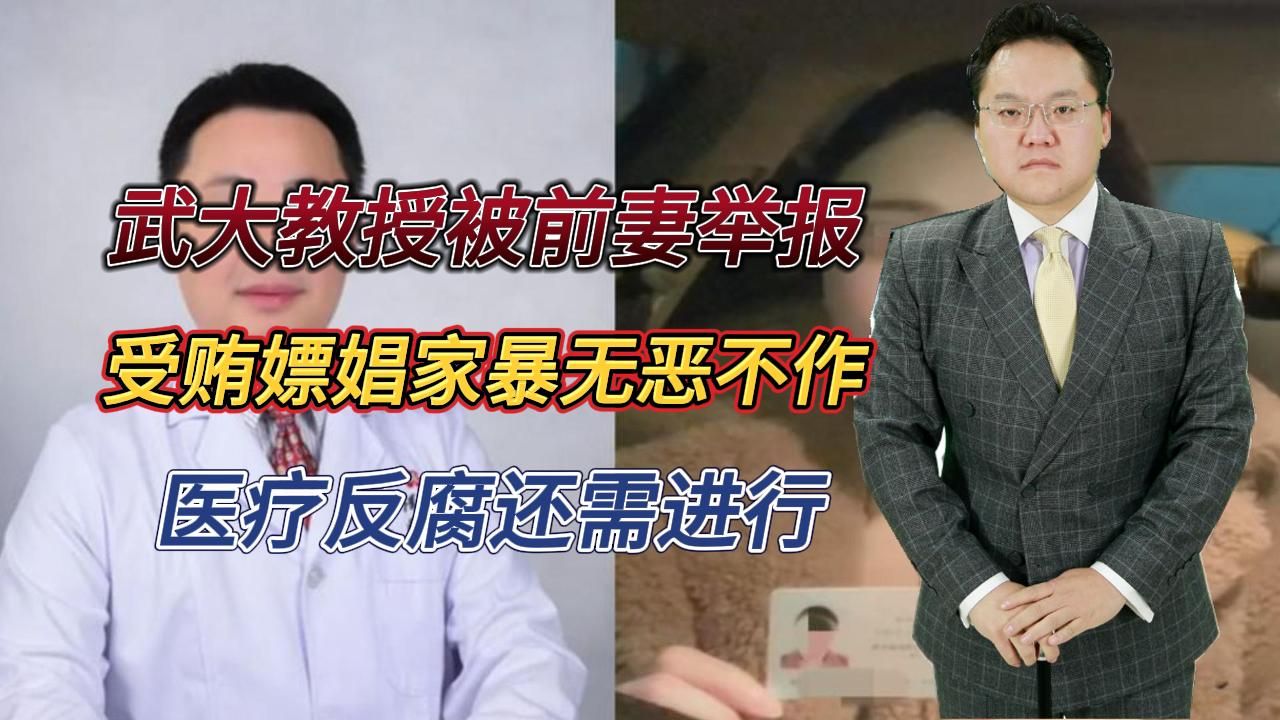 【照理说事】武大教授被前妻举报,受贿嫖娼家暴无恶不作,医疗反腐还需进行哔哩哔哩bilibili