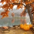 在秋天舒适的湖畔门廊，落叶的早晨与篝火，放松蟋蟀，放松助眠学习的氛围