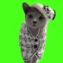 【绿幕素材】【猫meme】贵妇猫猫走路