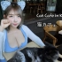 [4K]在韓國貓咪咖啡廳約會吧~