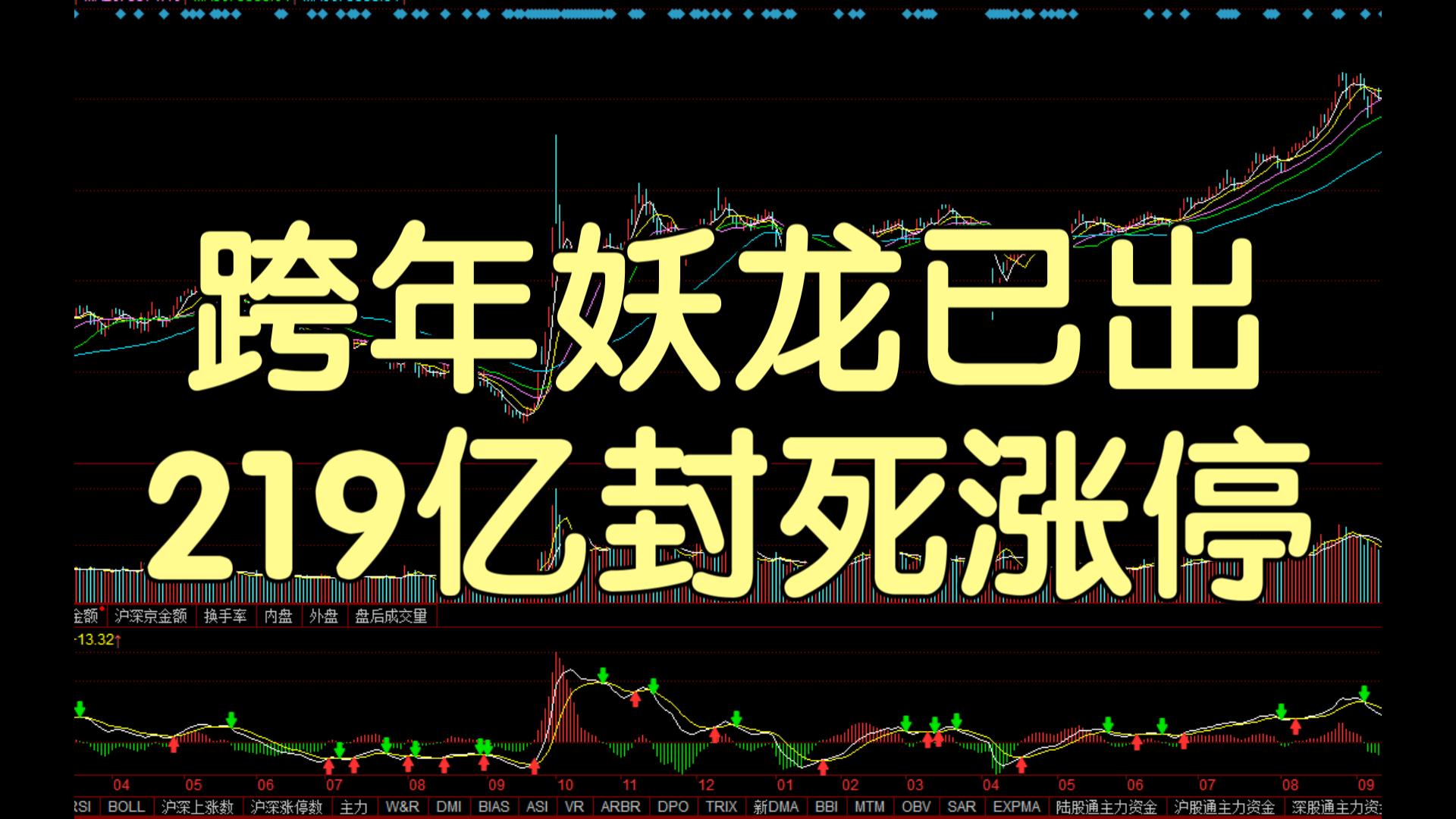 超短复盘0211—跨年妖龙已出，219亿封死涨停