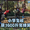 小学生收获1600斤年终奖