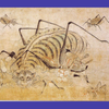 《日本文化艺术专题》大和绘（五）日本传统溯源
