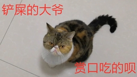 8acbbd755a80b24b9b1942d95b274f35e8cfc8b2.jpg@280w_158h_1c_100q.jpg
