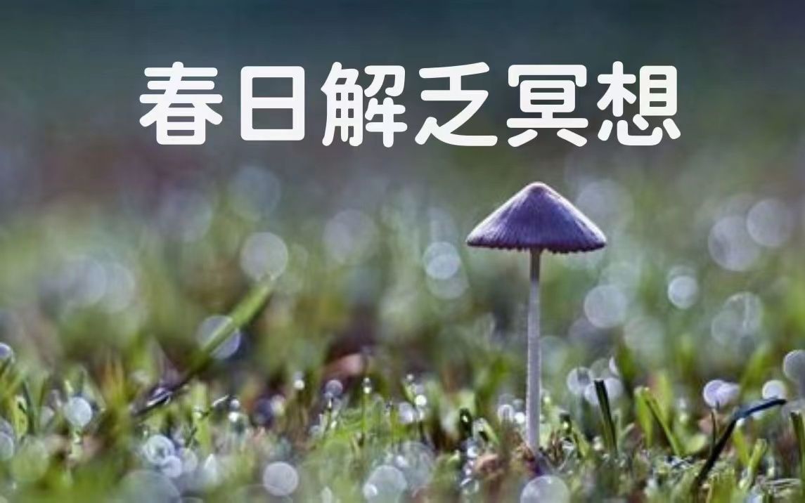 【冥想引导】缓解疲劳，雨中入眠 | 春季特别篇