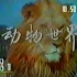 【放送文化】CCTV1《动物世界》历年片头（1981——2022）