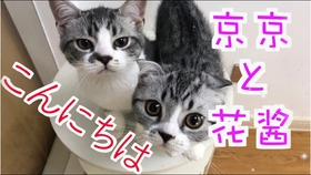 8af0cb52e9c9bc0d7ce15b007b664ecefd28e9b4.jpg@280w_158h_1c_100q.jpg