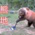 自从学会了用铲子，俄罗斯小熊每天都非常忙
