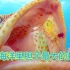 小小海葵虾斗胆为大鱼提供保健服务，同行裂唇鱼因生意太好被假冒
