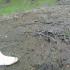 对付黏黏的淤泥白靴是不会输的
