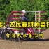 【日本农民春耕种菜技术】日本的农业智能技术应用确实不错，咱们要研究和学习！ #农业机械# #智慧农业#