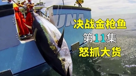8b656fffe1469a2e51ccb09232ba31a15c28f1e8.jpg@280w_158h_1c_100q.jpg