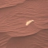 好奇号观察到火星云的移动及更多照片 3.19