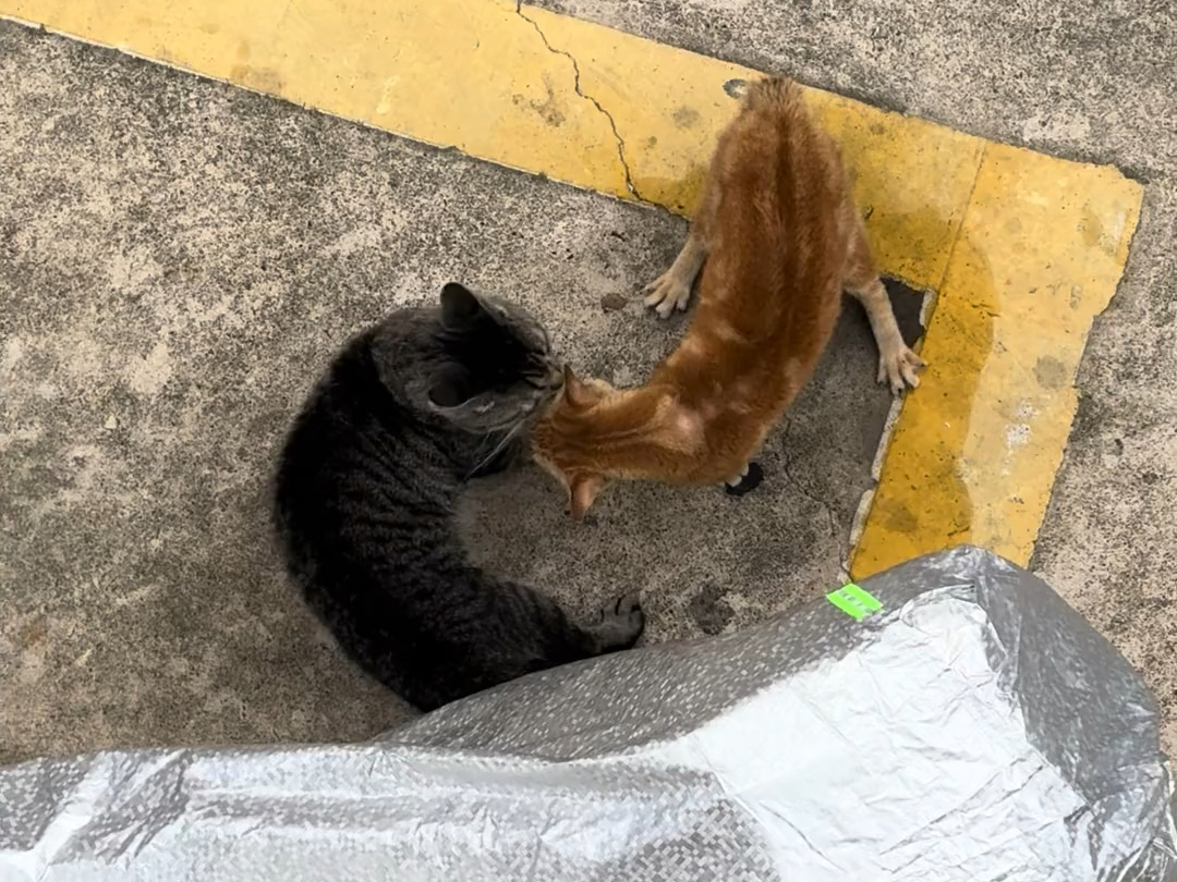 老吴tv之超强吸力