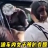 奥迪车内女子被扒衣殴打，警方：系感情纠纷，正在处理。