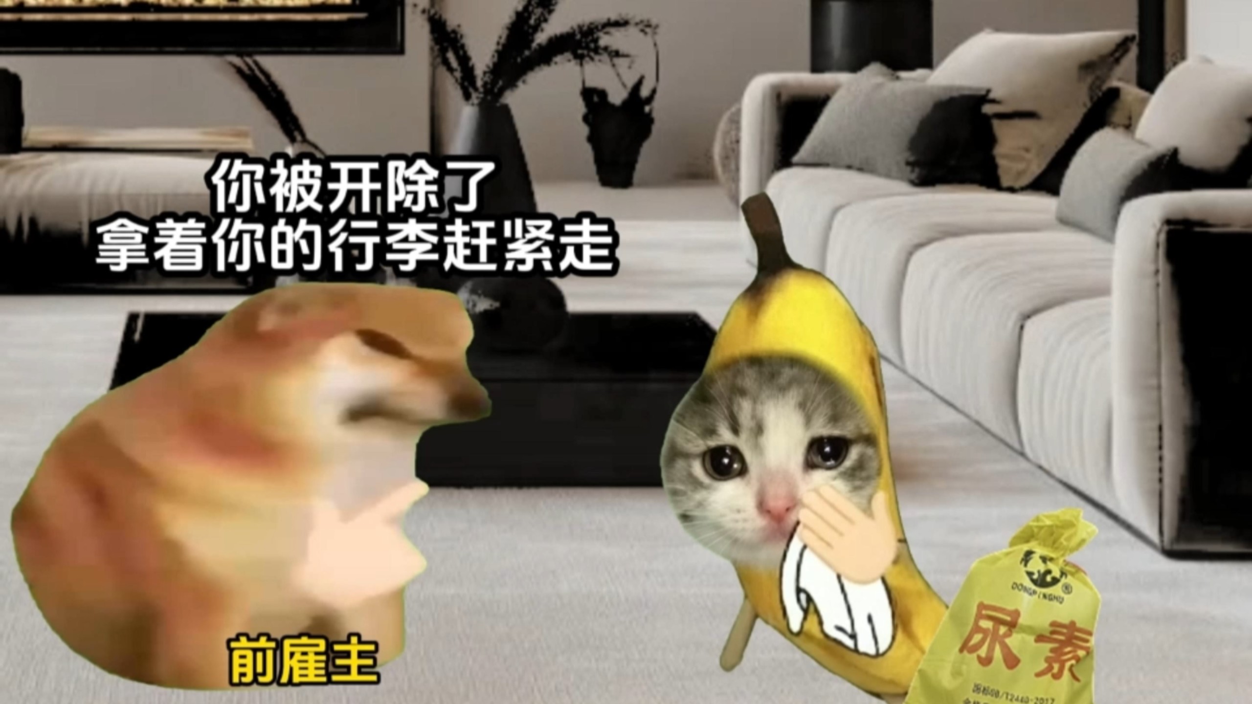 因为厨艺太好喂胖了雇主被开除#猫meme剧场