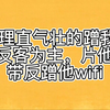隔壁邻居理直气壮蹭我wifi，看我反客为主