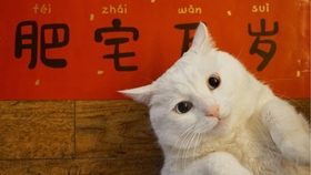 8bb8538bd9889f71ce0b414219953431aa544842.jpg@280w_158h_1c_100q.jpg