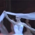 【芭蕾】《舞姬》幻影王国片段Vishneva&Sarafanov