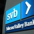 硅谷银行 SVB - 40岁倒下【小Tea News】