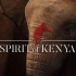 太美了吧！此生必去的旅行地：非洲之心肯尼亚
