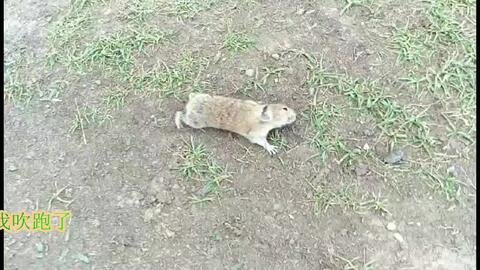 8bd75e5691159f108e15384da62e57b1945b95af.jpg@480w_270h_1c