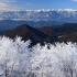 【超清日本】長野県・聖高原的美丽冬景