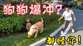 8be95ef88c7635fa90e6edd96f66b8535facd16c.jpg@280w_158h_1c_100q.jpg