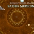 内分泌系统焕新修复【Sapien Medicine】