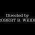 【素材】搞笑结尾，电影结尾，DIRECTED BY ROBERT B WEIDE，高画质