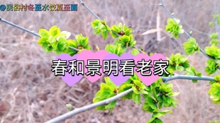 8c0c420e457718e1ff7f86f5bb59a4fe152aebaf.jpg@310w_174h_1c_100q.jpg