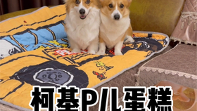 8c1cdf8d51ad9bd2022df710477ce9fb3179e0ce.jpg@280w_158h_1c_100q.jpg